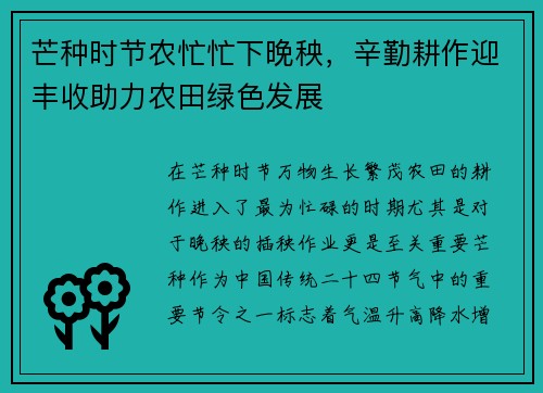 芒种时节农忙忙下晚秧，辛勤耕作迎丰收助力农田绿色发展